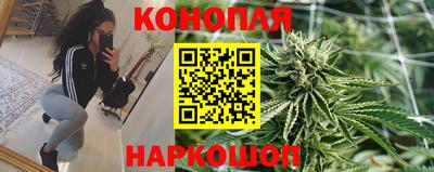 ГАЛЛЮЦИНОГЕННЫЕ ГРИБЫ Заводоуковск