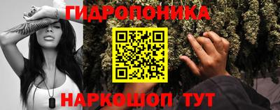 ГАЛЛЮЦИНОГЕННЫЕ ГРИБЫ Заводоуковск