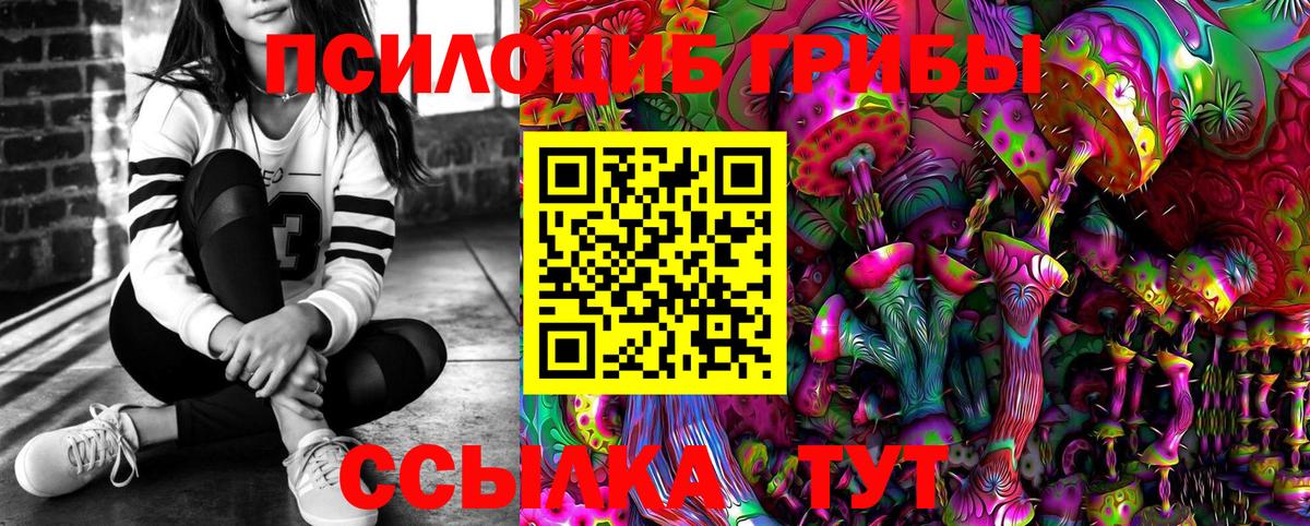 Кольчугино  Псилоцибиновые грибы Magic Shrooms  Псилоцибиновые грибы GOLDEN TEACHER  Вход с VPN 
