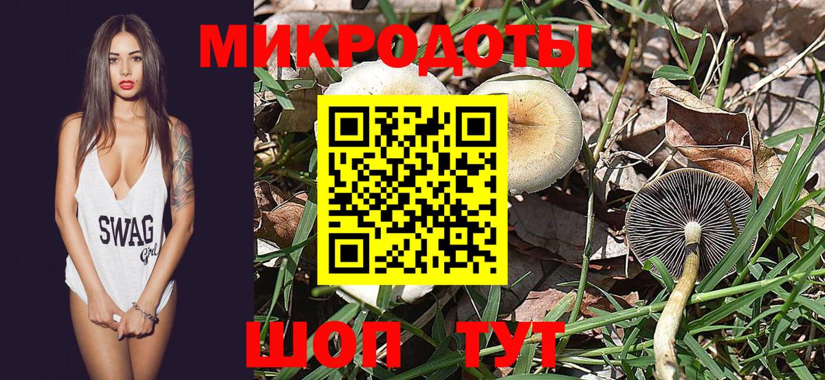 Галлюциногенные грибы мицелий Кольчугино